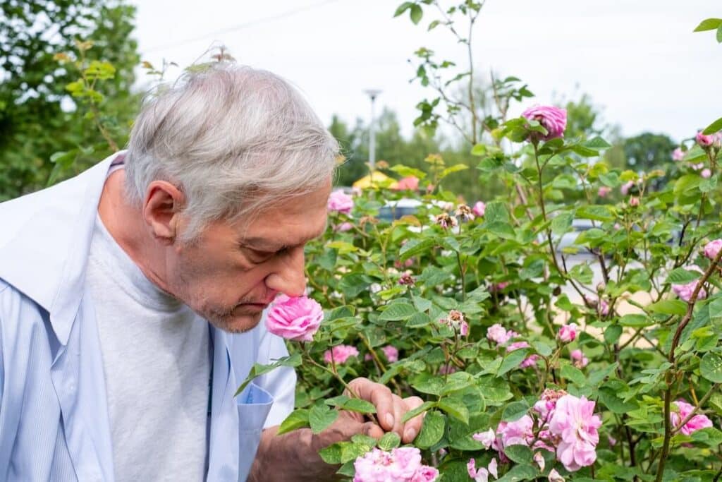 Older man smelling a colorful flower
