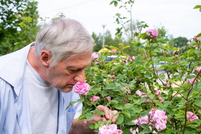 Older man smelling a colorful flower